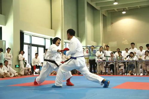 空手道进高校 陕西首届空手道公开赛在西安交大举办